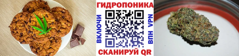 Cannafood конопля  магазин  наркотиков  Светлый 