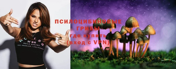соль курить ск Заводоуковск