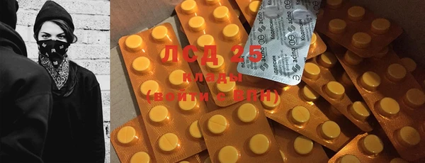 шишки Заволжье