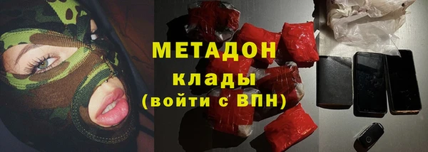 прущие грибы Сосновоборск