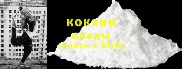 шишки Заволжье