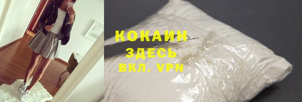 соль ск Ельня