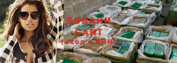 шишки Заволжье