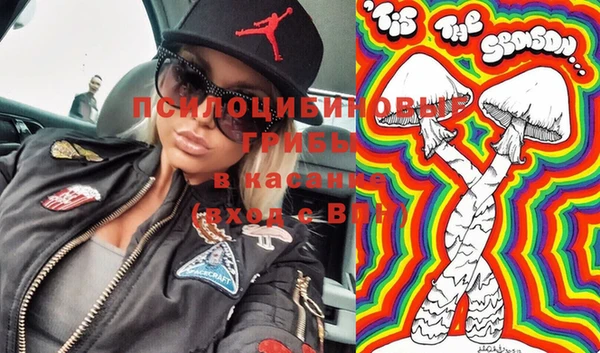 твердый Щигры