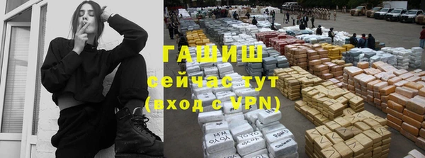 соль ск Ельня