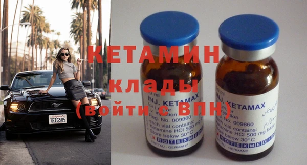 шишки Заволжье