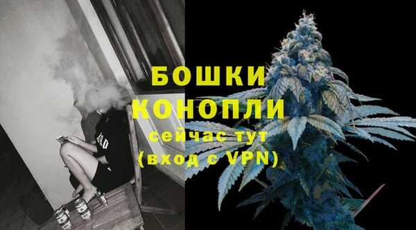 соль ск Ельня