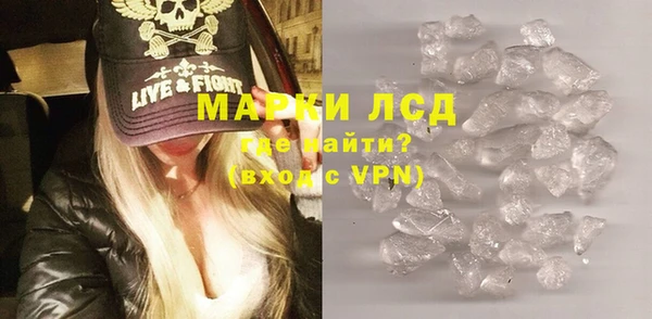 сатива Сосновый Бор