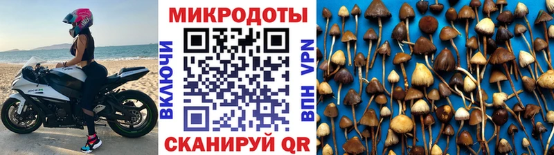 blacksprut ССЫЛКА  Светлый  Галлюциногенные грибы мухоморы 